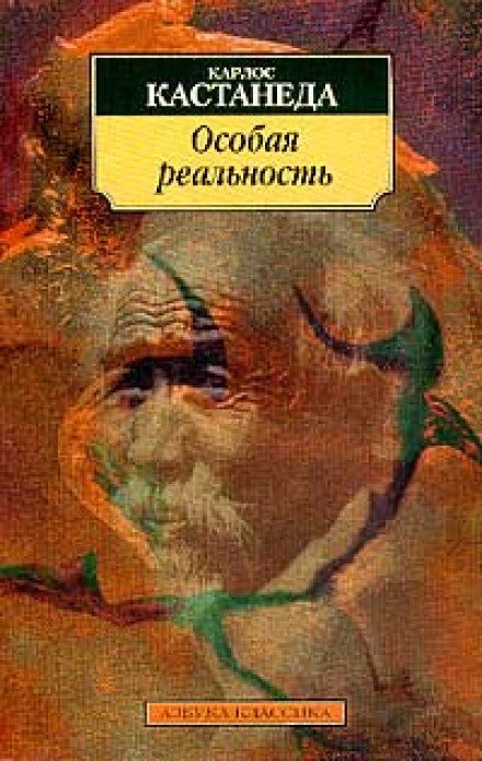 Особая реальность. Новые беседы с доном Хуаном